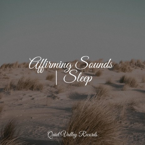 Soft Sounds ft. Guided Meditation Music Zone & Relajación | Boomplay Music