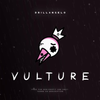 Vulture (Instrumental)