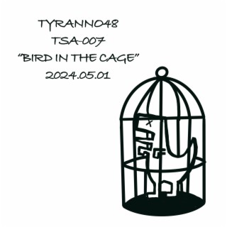 bird in the cage lyrics | Boomplay Music