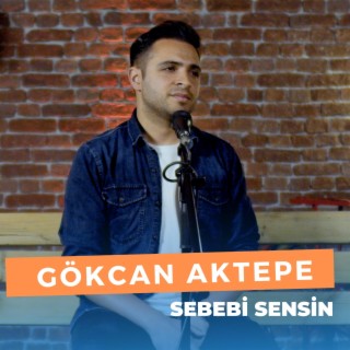 Sebebi Sensin (Gökcan Aktepe)