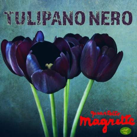 Tulipano Nero (Deluxe Version) ft. Maurizio Minardi & Simone Zanchini | Boomplay Music