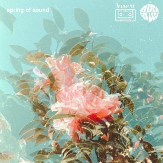 spring time echoplex