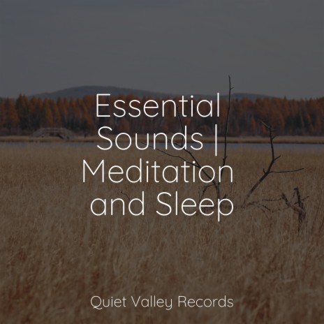 Meditative State of Mind ft. Guided Meditation & Rain Storm Sample Library | Boomplay Music