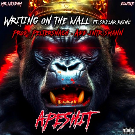 Writing On The Wall ft. Mr. Wisdom & Skylar Raine | Boomplay Music