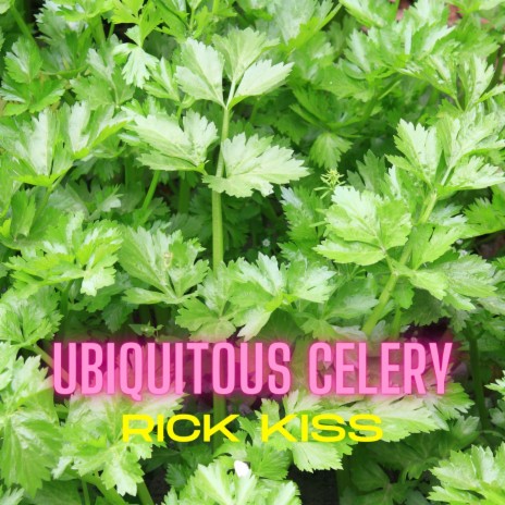 Ubiquitous Celery