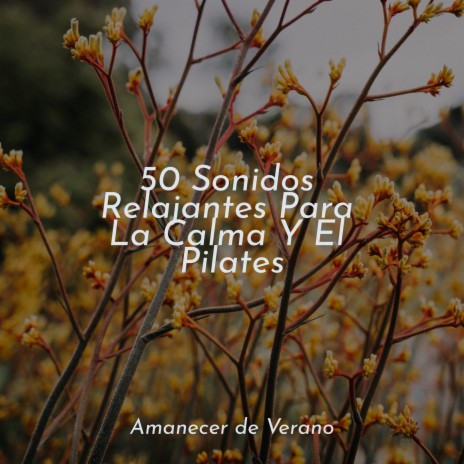 Soledad en las arenas doradas ft. Yoga Sounds & Yoga Music | Boomplay Music