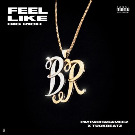 Feel Like Big Rich ft. TuckBeatz | Boomplay Music