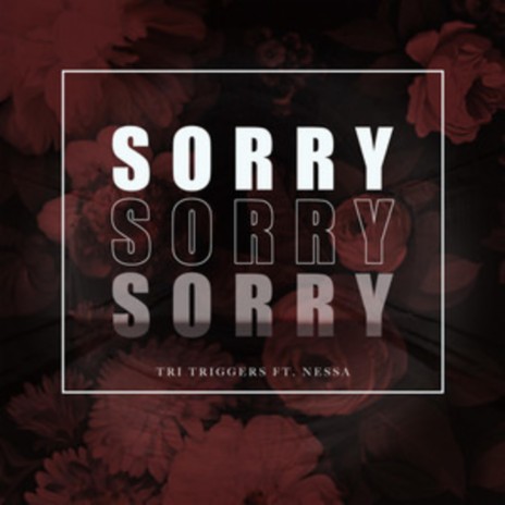 Sorry | Boomplay Music