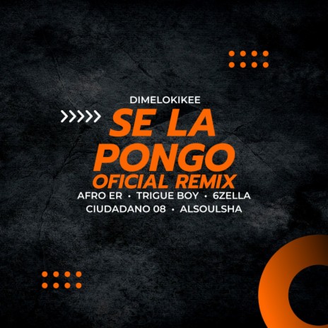 SE LA PONGO (OFICIAL REMIX) ft. Afro ER, Trigue Boy, 6zella Produciendo, Ciudadano 08 & Alsoulsha | Boomplay Music