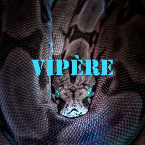 Vipère | Boomplay Music