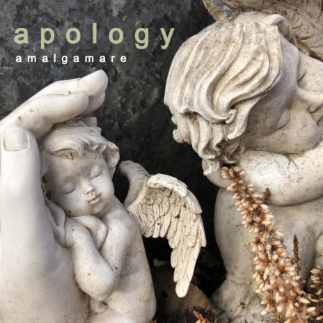 Apology | Boomplay Music