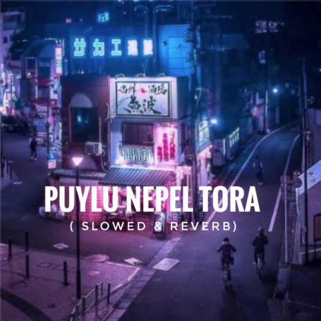 Puylu Nepel Tora (Slowed & Reverb) | Boomplay Music