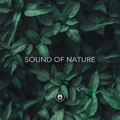 Nature Lullaby