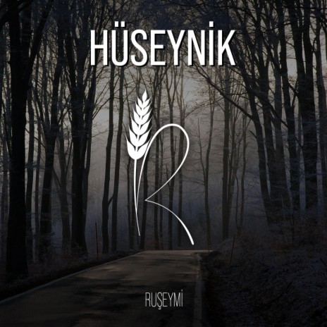 Hüseynik (Akustik) | Boomplay Music
