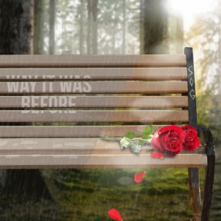 Way It Was Before lyrics | Boomplay Music