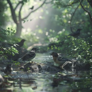 Deep Sleep Binaural Sounds of Nature Creek and Birds