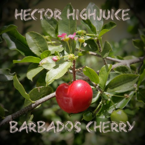 Barbados Cherry | Boomplay Music