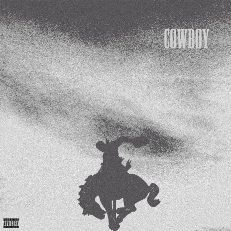 COWBOY | Boomplay Music