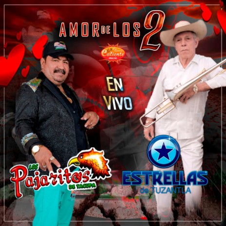 Amor de los Dos (En Vivo) ft. Los Pajaritos De Tacupa