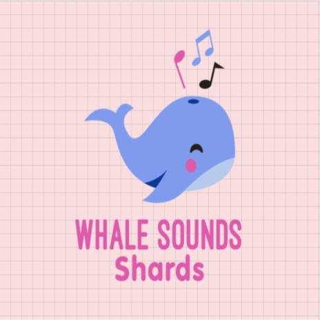 Shards | Boomplay Music