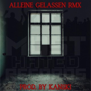 Alleine Gelassen RMX