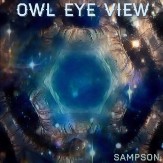 Owl Eye View