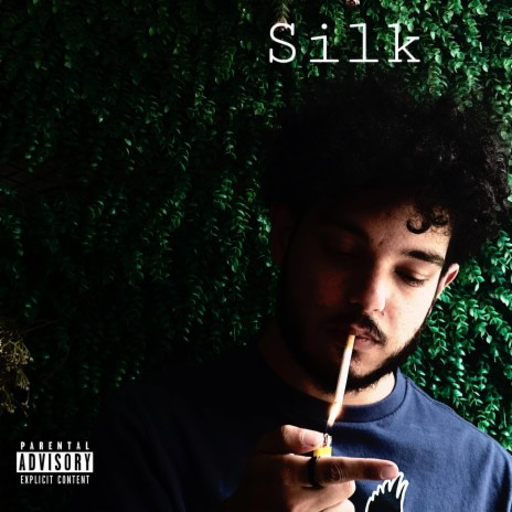 SILK | Boomplay Music