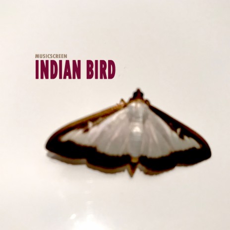 Indian Bird