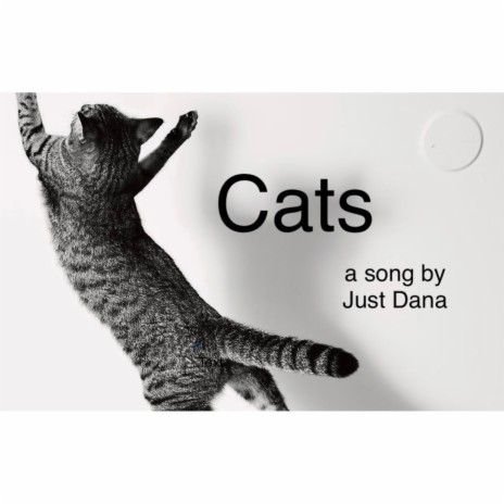 Cats | Boomplay Music