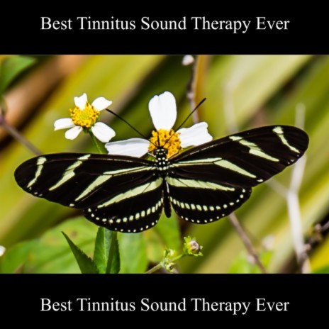 Best Tinnitus Sound Therapy Ever Nature Sounds