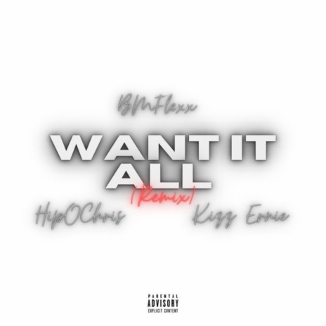 Want it All (feat. HipOChris & Kizz Ernie) (Remix) | Boomplay Music