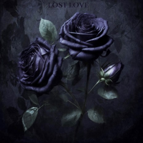 Lost Love | Boomplay Music