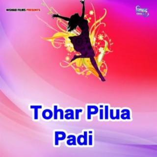 Tohar Pilua Padi