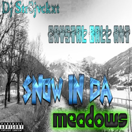 Snow In Da Meadows | Boomplay Music