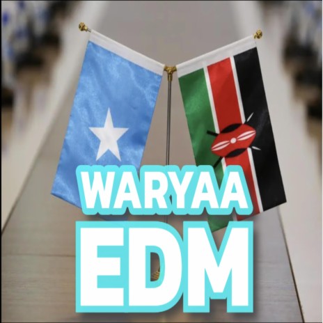 WARYAA (EDM Mix) | Boomplay Music
