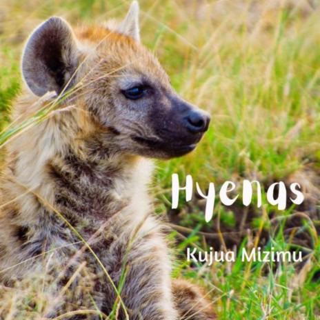 Hyenas | Boomplay Music