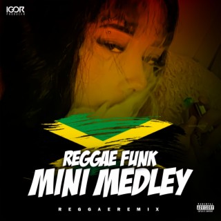 MINI MEDLEY LOKO (Reggae Funk)