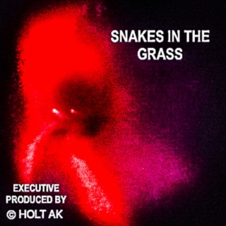 SNAKES IN THE GRASS