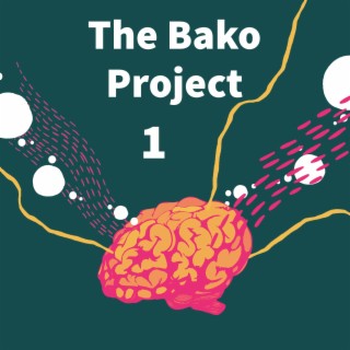 Bako Project 1