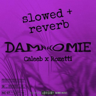 DAMN HOMIE (Slowed + Reverb)