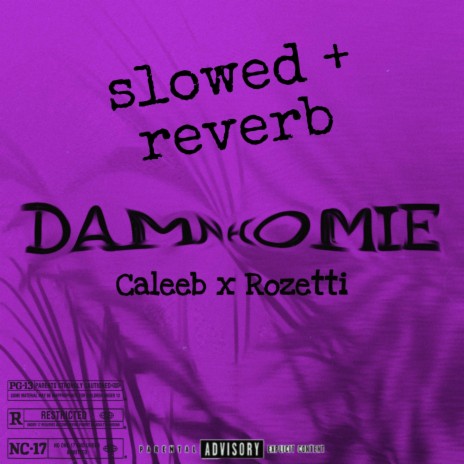 DAMN HOMIE (Slowed + Reverb) ft. Rozetti | Boomplay Music