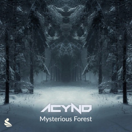 Mysterious Forest (Original Mix)