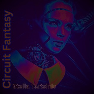 Circuit Fantasy