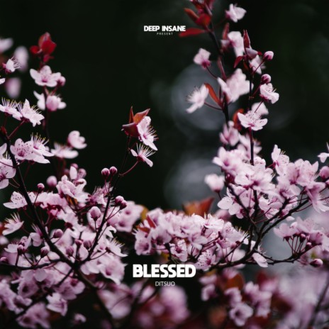 Blessed (Radio Edit) | Boomplay Music