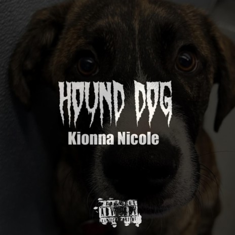 Hound Dog | Boomplay Music