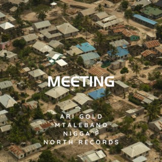 Meeting