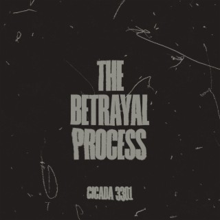 The Betrayal Process