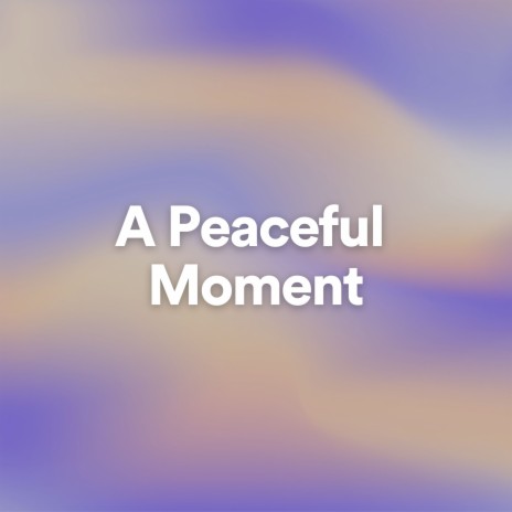 A Peaceful Moment, Pt. 1 | Boomplay Music