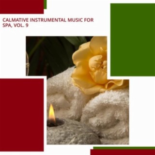 Calmative Instrumental Music For Spa, Vol. 9
