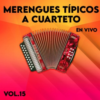 Merengues Tipicos A Cuarteto En Vivo,Vol.15 (En Vivo)